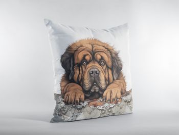 P-8642-tibetan mastiff